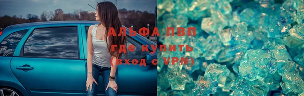 a pvp Новозыбков