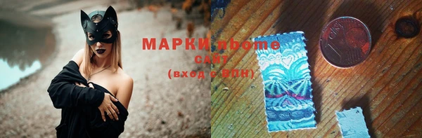 a pvp Новозыбков