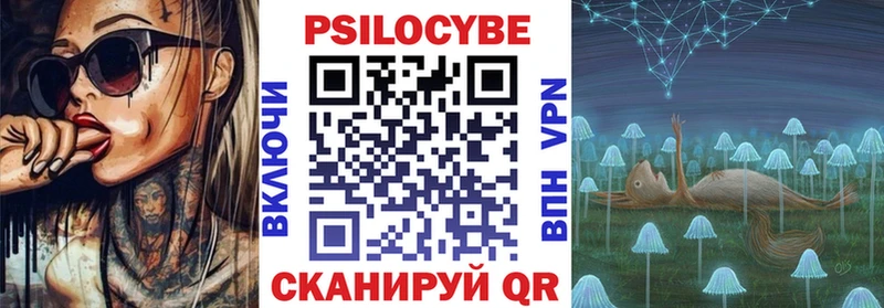 Псилоцибиновые грибы Psilocybe  сколько стоит  Новосиль 